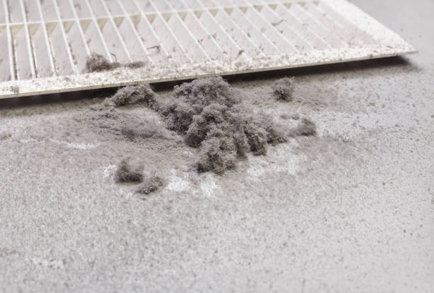 Best Ductwork Cleaning Services  in Bigfork, MT