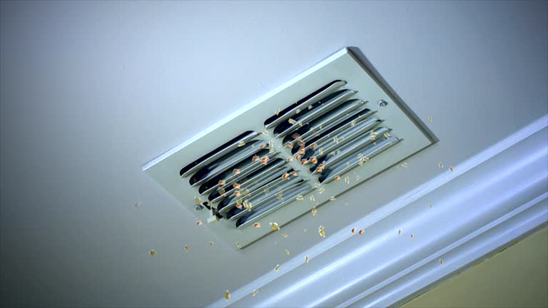 Best Air Duct Cleaning Cost  in Bigfork, MT